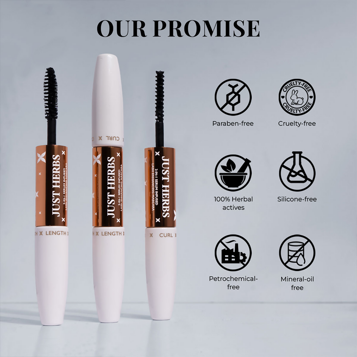 https://cdn.shopify.com/s/files/1/1857/6931/files/cqRW4YWXJL.png?v=1732273718