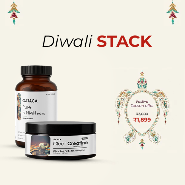https://cdn.shopify.com/s/files/1/1857/6931/files/creative.png?v=1761304704