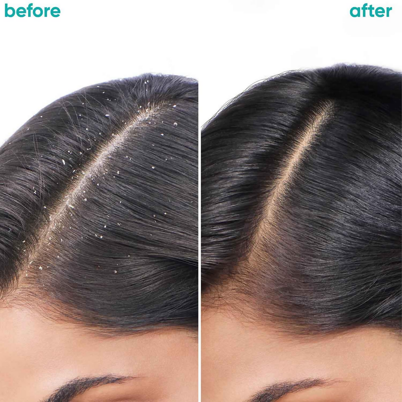 https://cdn.shopify.com/s/files/1/1857/6931/files/ctqbvqHhZ6.png?v=1727418367