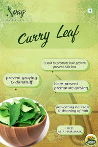 https://cdn.shopify.com/s/files/1/1857/6931/products/curry5.jpg?v=1681990906