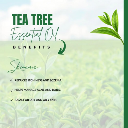 https://cdn.shopify.com/s/files/1/1857/6931/files/cvHbrOYqnP.png?v=1729518147