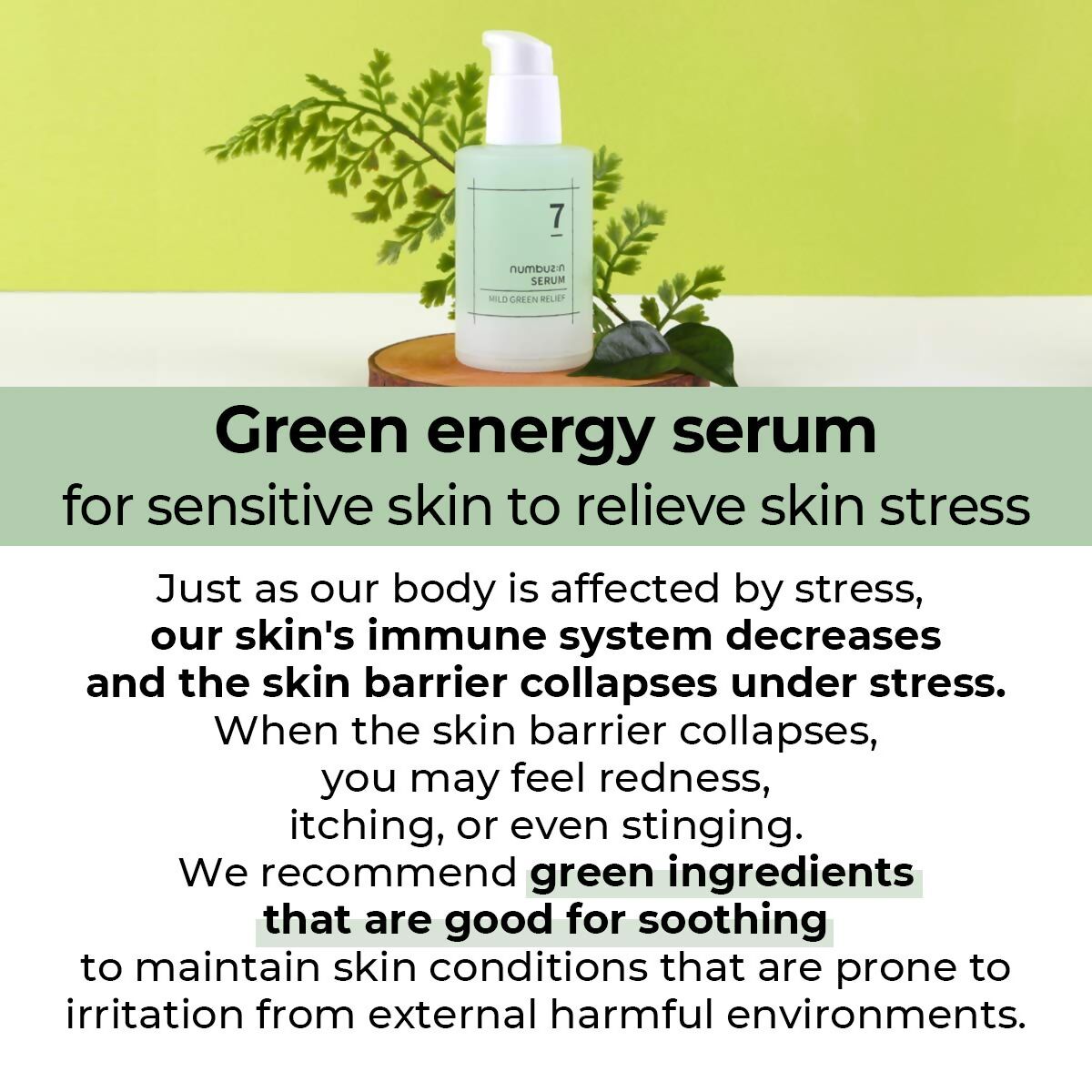 https://cdn.shopify.com/s/files/1/1857/6931/files/cvrBIv1cXW.jpg?v=1713013380