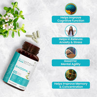 https://cdn.shopify.com/s/files/1/1857/6931/files/cw3KNMihzq.jpg?v=1727523256