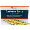 https://cdn.shopify.com/s/files/1/1857/6931/products/cystone-500x500_867292c0-505e-4940-be4e-afb994818530.jpg?v=1737558806