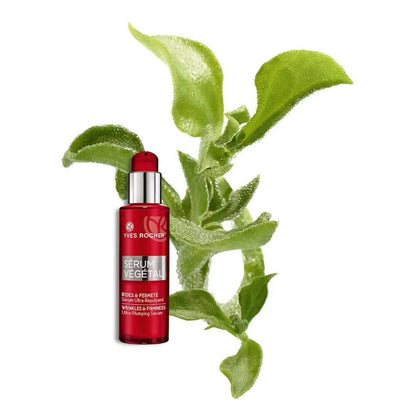 https://cdn.shopify.com/s/files/1/1857/6931/products/czfYaSvXRg.jpg?v=1662811315