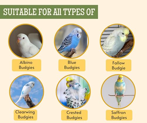 Image 15 of Foodie Puppies Bird Food for Budgies
