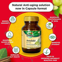 https://cdn.shopify.com/s/files/1/1857/6931/products/d1IwOVCwTx.jpg?v=1625157072