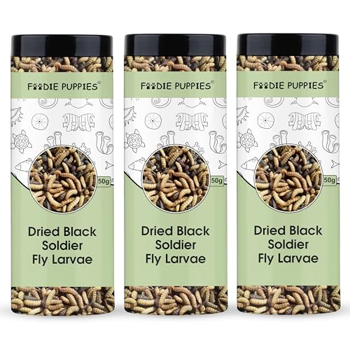 Image 3 of Pack of 3 for the product Foodie Puppies Dried Black Soldier Fly Larvae Fish Food