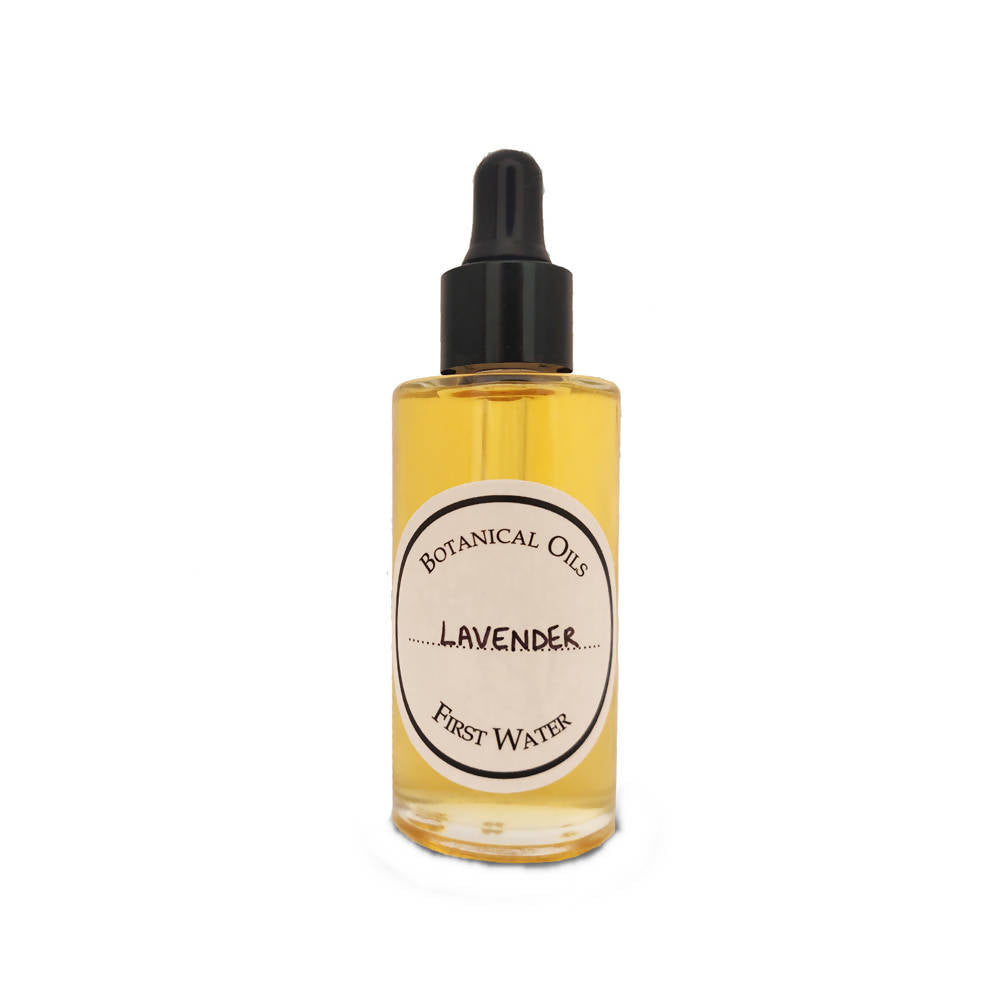 https://cdn.shopify.com/s/files/1/1857/6931/products/d1zx20bdxR.jpg?v=1759273608