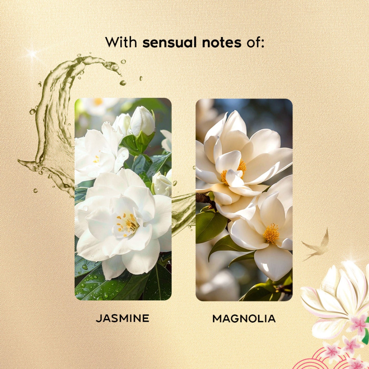 https://cdn.shopify.com/s/files/1/1857/6931/files/d272fb7WANDE00000550_4_9738c5db-f198-440b-a085-f3c05c903743.jpg?v=1768229975