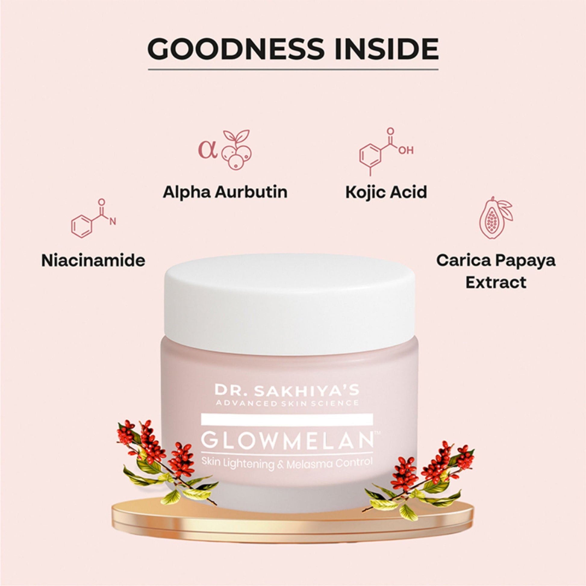 https://cdn.shopify.com/s/files/1/1857/6931/files/d5be2a9DRSAK00000024_2.jpg?v=1776255325