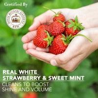 https://cdn.shopify.com/s/files/1/1857/6931/files/d6047047-212d-41d9-ae0c-41a7bc4300da.jpg?v=1773123111