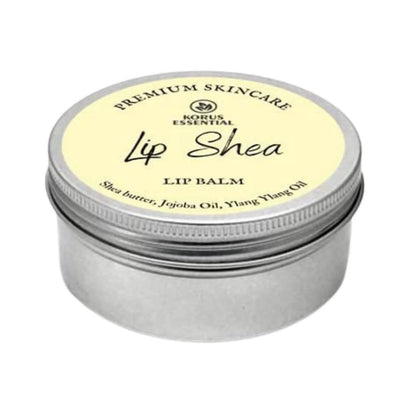 https://cdn.shopify.com/s/files/1/1857/6931/products/d62y9nyL8v.jpg?v=1646465030