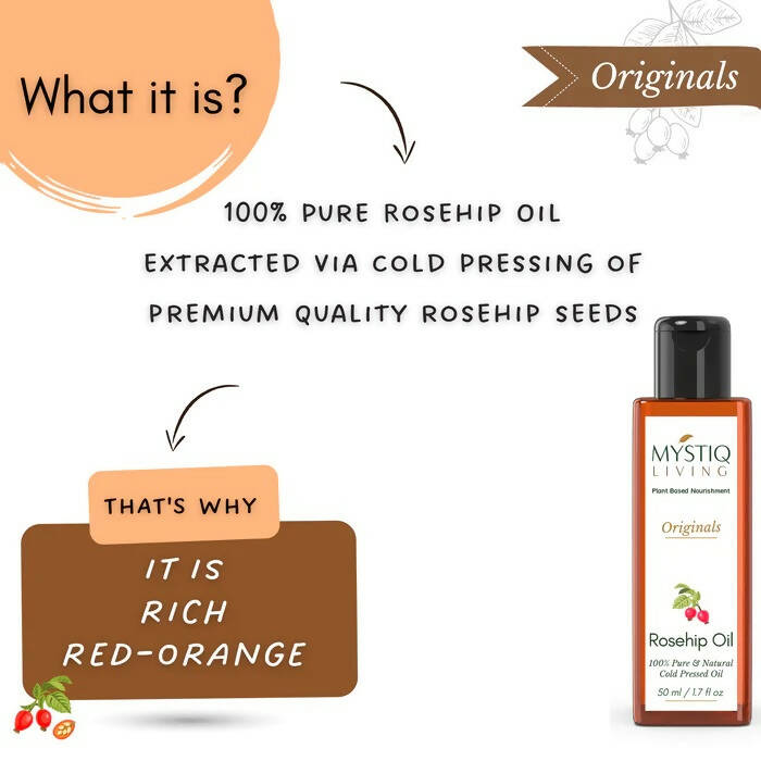 https://cdn.shopify.com/s/files/1/1857/6931/products/d6iz4VysDv.jpg?v=1664017379