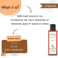 https://cdn.shopify.com/s/files/1/1857/6931/products/d6iz4VysDv.jpg?v=1664017379