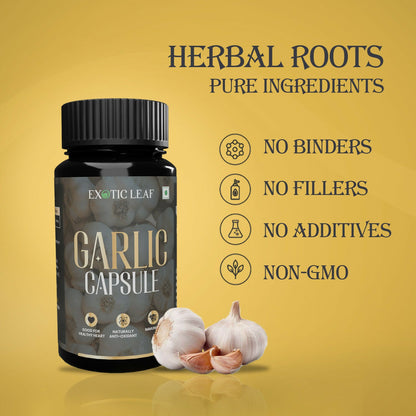 https://cdn.shopify.com/s/files/1/1857/6931/files/d70FD2MZXY.jpg?v=1725084799