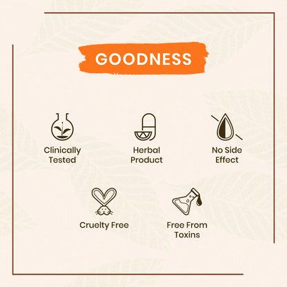 https://cdn.shopify.com/s/files/1/1857/6931/products/d7yZPUUR6b.jpg?v=1686642401