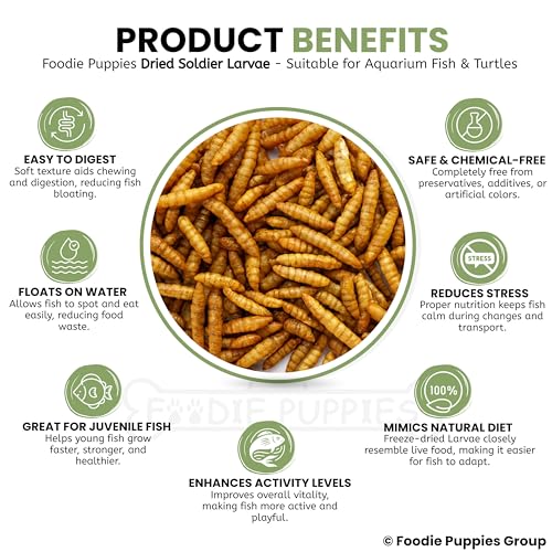 Image 7 of Foodie Puppies Dried Black Soldier Fly Larvae Fish Food