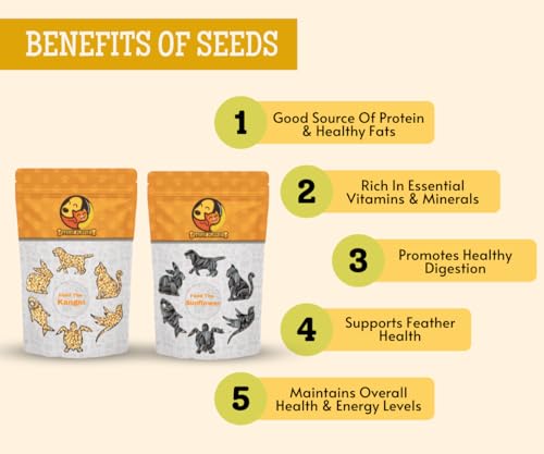 Image 3 of Foodie Puppies Sunflower Seeds & Kangni/Foxtail Millet Seed Combo for Birds - Pouch 1 Kg Kangni + Pouch 1 Kg Sunflower