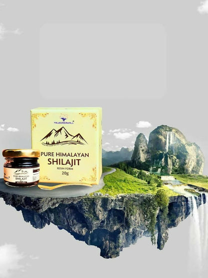 https://cdn.shopify.com/s/files/1/1857/6931/products/d9QaxVohta.jpg?v=1694415312