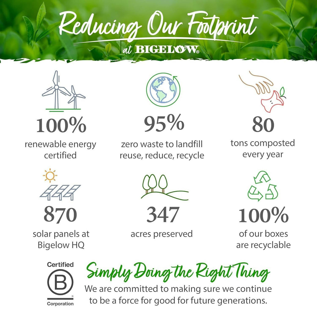 https://cdn.shopify.com/s/files/1/1857/6931/products/d9TCZbZT5s.jpg?v=1704374959