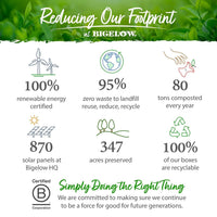https://cdn.shopify.com/s/files/1/1857/6931/products/d9TCZbZT5s.jpg?v=1704374959