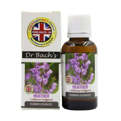 https://cdn.shopify.com/s/files/1/1857/6931/products/dAISbUImqS.jpg?v=1762366394