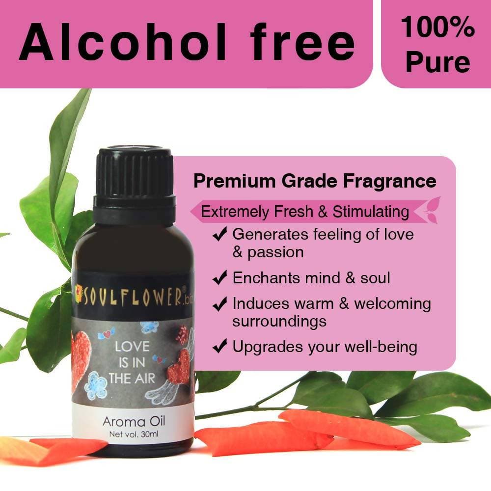 https://cdn.shopify.com/s/files/1/1857/6931/products/dAp3TJHU4k.jpg?v=1614911227
