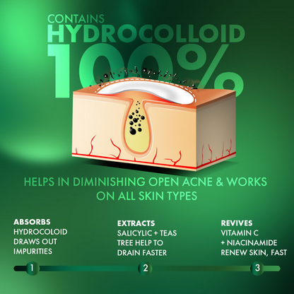 https://cdn.shopify.com/s/files/1/1857/6931/files/dBirqPbT2R.png?v=1761396439
