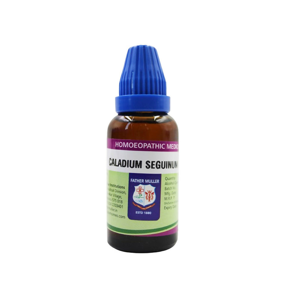 https://cdn.shopify.com/s/files/1/1857/6931/files/dDkxi9WFmZ.jpg?v=1718280090