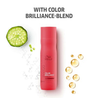 https://cdn.shopify.com/s/files/1/1857/6931/products/dDyqcpUxzv.jpg?v=1666790467