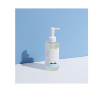 https://cdn.shopify.com/s/files/1/1857/6931/files/dF1NFydapy.png?v=1727784732