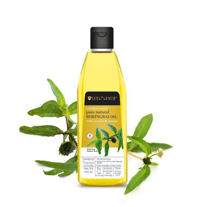 https://cdn.shopify.com/s/files/1/1857/6931/products/dGO0HuUzGG.jpg?v=1624117066