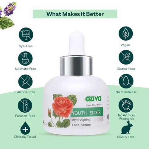 https://cdn.shopify.com/s/files/1/1857/6931/products/dITdw5J75Y.jpg?v=1706103384