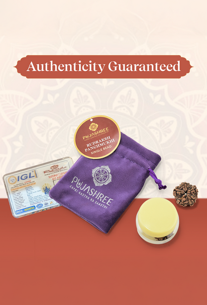 https://cdn.shopify.com/s/files/1/1857/6931/files/dKs61A48ew.png?v=1779344704