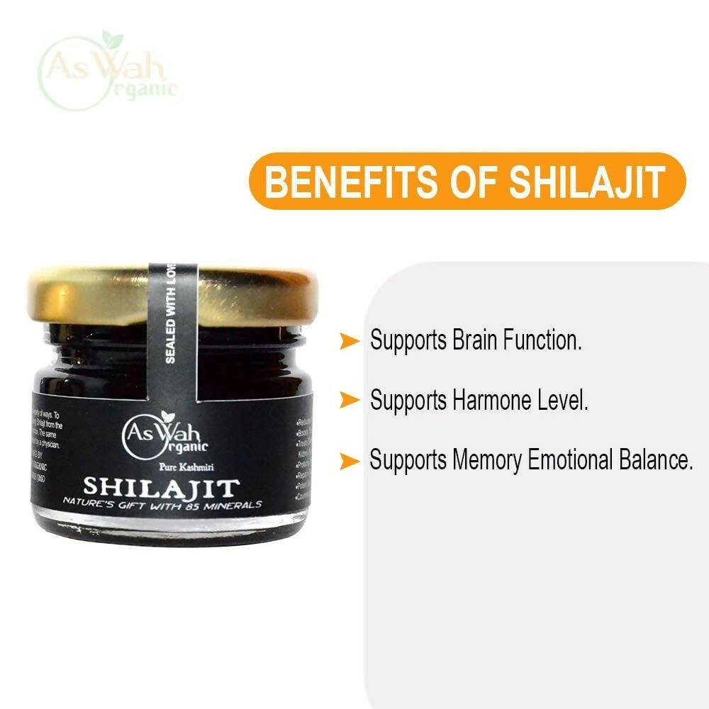 https://cdn.shopify.com/s/files/1/1857/6931/files/dPC0uKLpIA-261405.jpg?v=1736149884