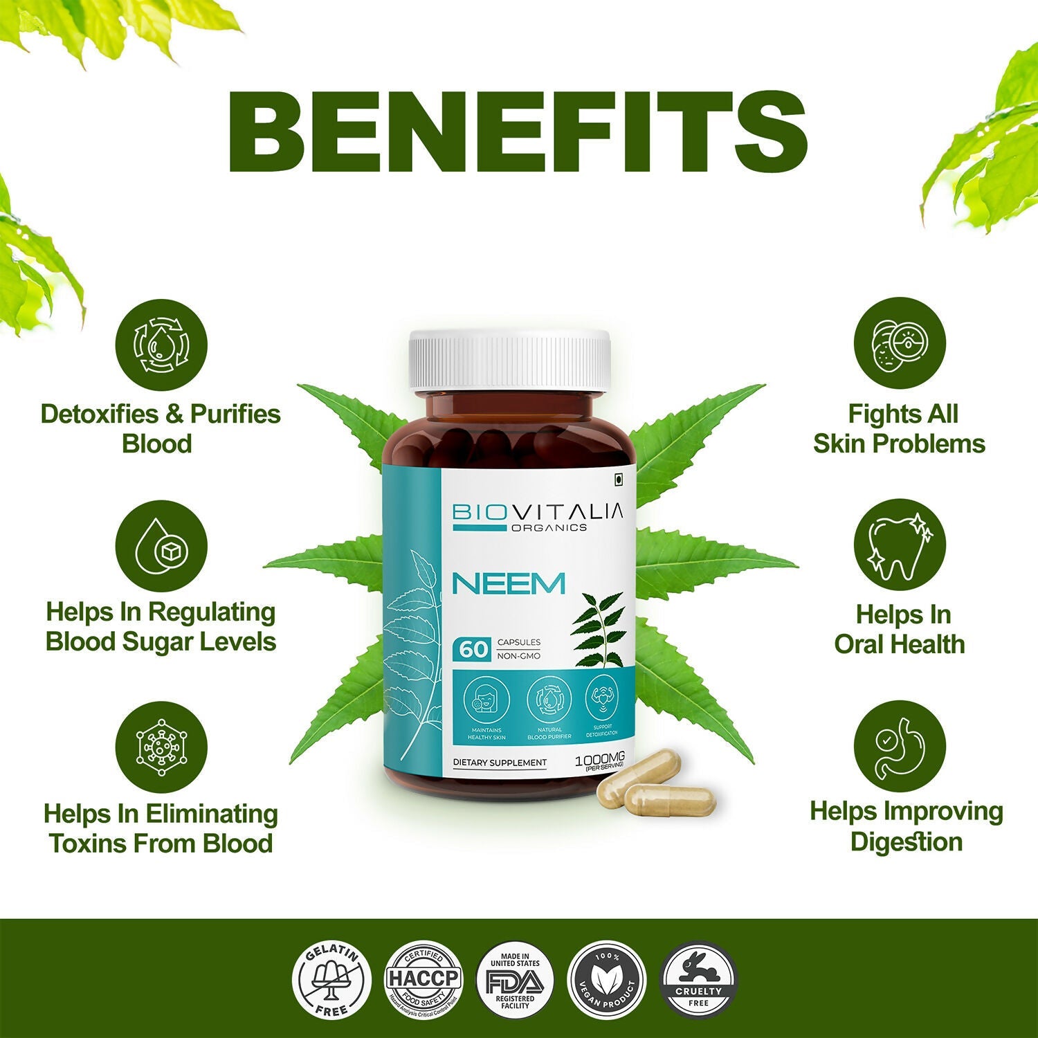 https://cdn.shopify.com/s/files/1/1857/6931/files/dPCrKbUAq0.jpg?v=1727680454