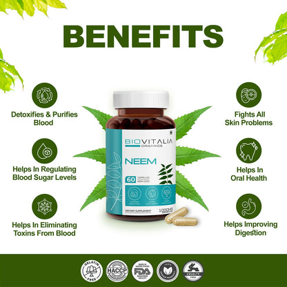 https://cdn.shopify.com/s/files/1/1857/6931/files/dPCrKbUAq0.jpg?v=1727680454