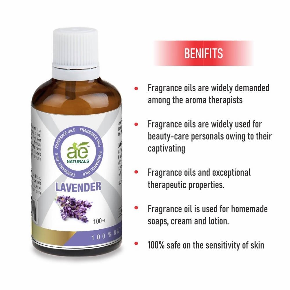 https://cdn.shopify.com/s/files/1/1857/6931/files/dRE6OLyBO9-847789.jpg?v=1736143804