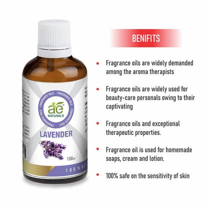 https://cdn.shopify.com/s/files/1/1857/6931/files/dRE6OLyBO9-847789.jpg?v=1736143804