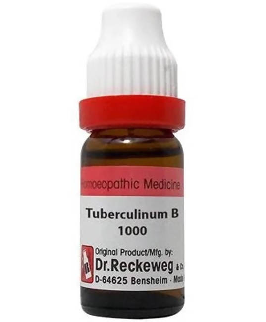 https://cdn.shopify.com/s/files/1/1857/6931/products/dRQJkasmfU.jpg?v=1654941486