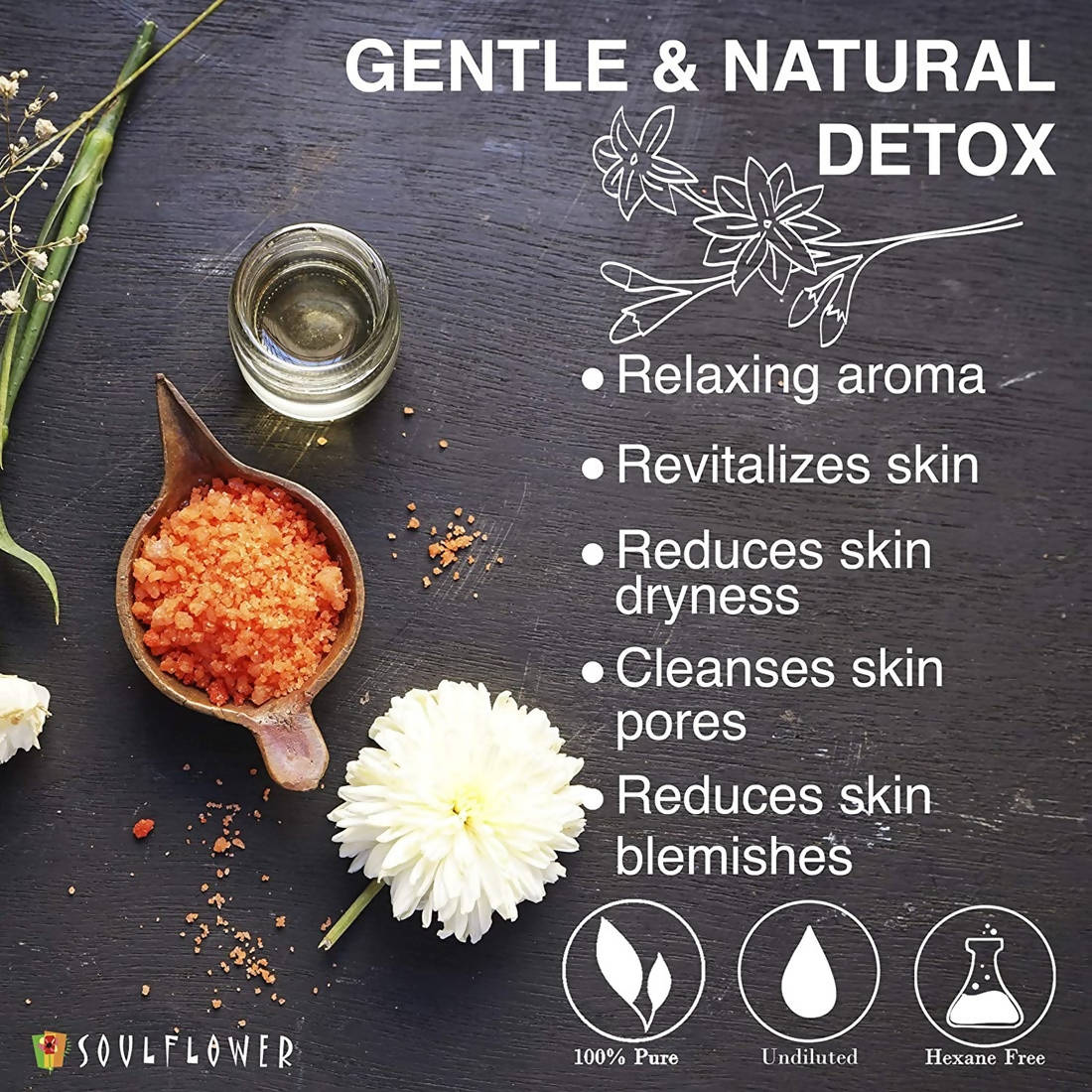 https://cdn.shopify.com/s/files/1/1857/6931/products/dTJDciCgoF.jpg?v=1624109350