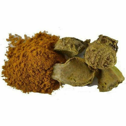 https://cdn.shopify.com/s/files/1/1857/6931/files/dTWWguGEgf-809336.jpg?v=1736146130