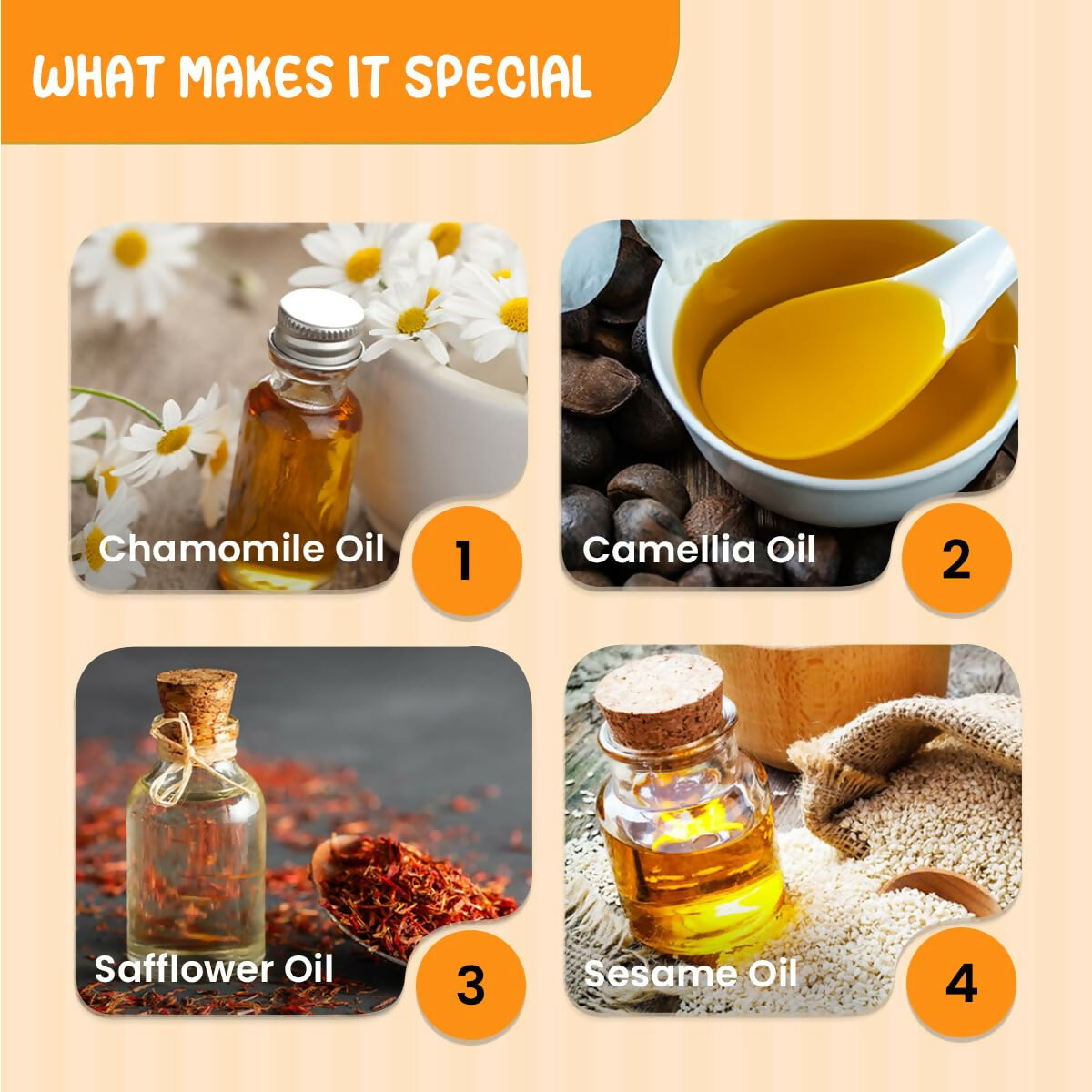 https://cdn.shopify.com/s/files/1/1857/6931/files/dTlZ5elCla.jpg?v=1742013823