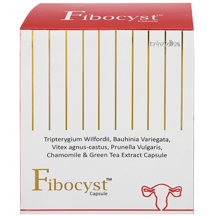 https://cdn.shopify.com/s/files/1/1857/6931/files/dUw3u2IRWV.png?v=1727784441