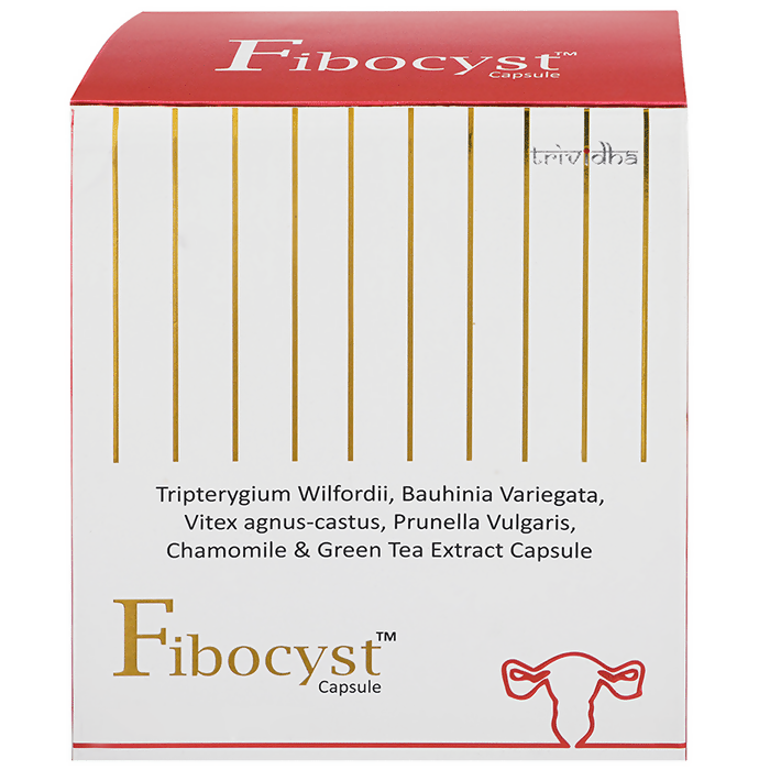 https://cdn.shopify.com/s/files/1/1857/6931/files/dUw3u2IRWV.png?v=1727784441