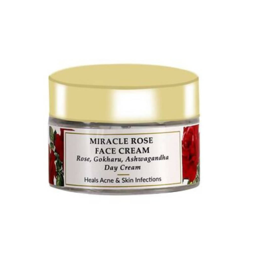 https://cdn.shopify.com/s/files/1/1857/6931/products/dYtNUlnFSR.jpg?v=1759336477
