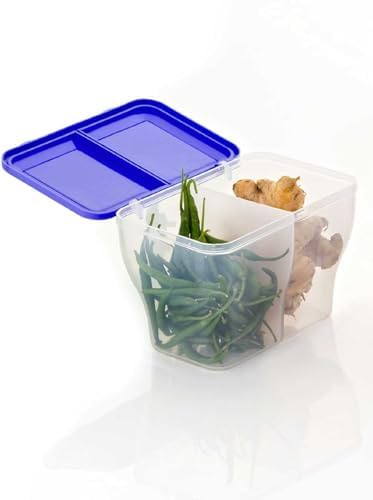 Image 3 of HomeWiz 2 Section Masala Box 2000ml