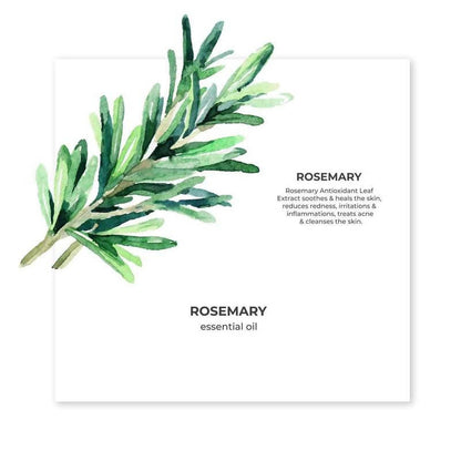 https://cdn.shopify.com/s/files/1/1857/6931/products/daTigg8ddv.jpg?v=1627008169