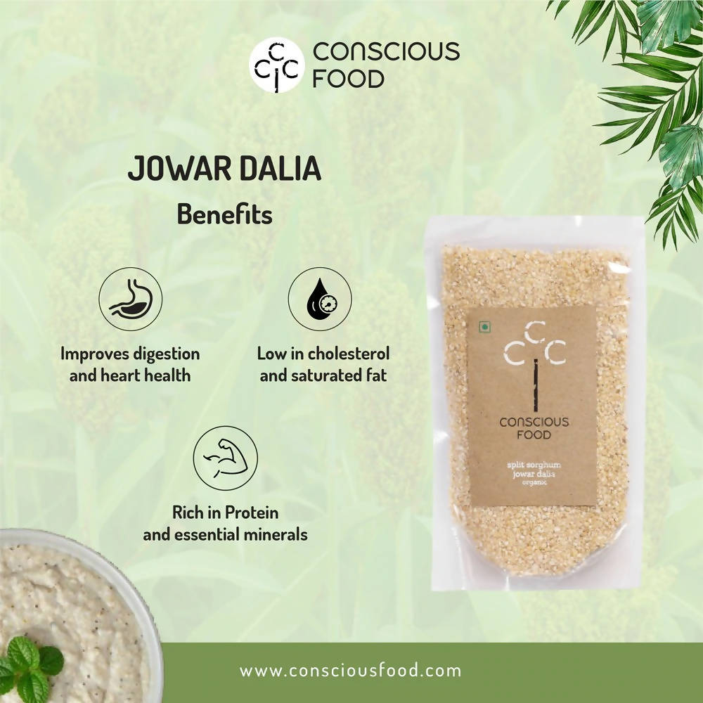 https://cdn.shopify.com/s/files/1/1857/6931/products/dam2DINOaU.jpg?v=1647263845